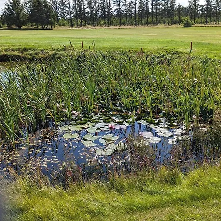 6 Person In Lokken-by Traum * Løkken